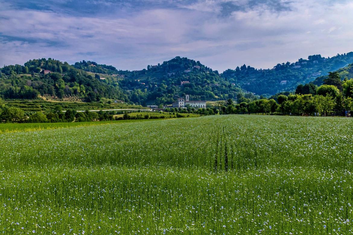 Valle di Astino